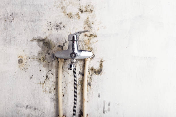 Best Mold Testing  in Soledad, CA