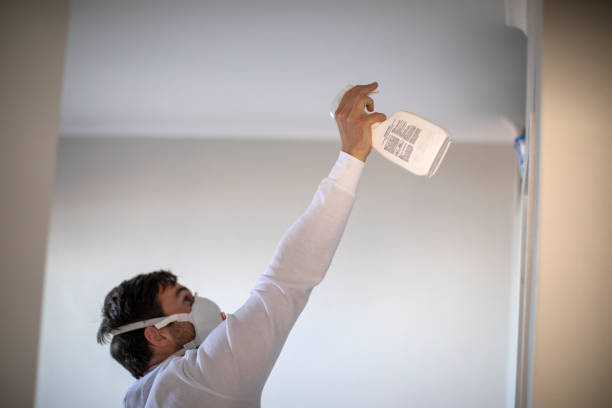 Home Mold Removal in Soledad, CA